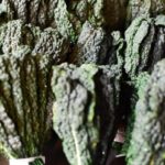 Organic Lacinato kale