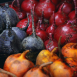Organic Golden Red, and Chiogga beets