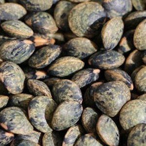 Organic French Green Lentils (Domestic Fairtrade)