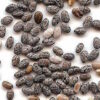 Organic Black Chia Seeds
