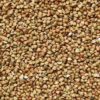 Organic Buckwheat Groats