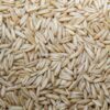 Organic Sprouting Oats