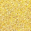 Organic Yellow Millet