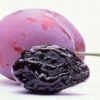 Organic Pitted Prunes