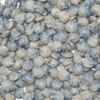 French Green lentils Fieldstone