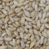 Fieldstone Organics Hulless Barley