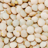 green lentils Fieldstone