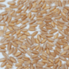 Fieldstone Organics Spelt
